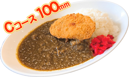 ロングライドブリカツカレー：900円（税込）